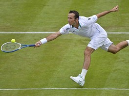 MM: Radek tpnek dobh mek v utkn na wimbledonsk trv.