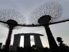Park je souástí rozvoje tvrti Bay v Singapuru. Jeho ti zahrady by se mly v...