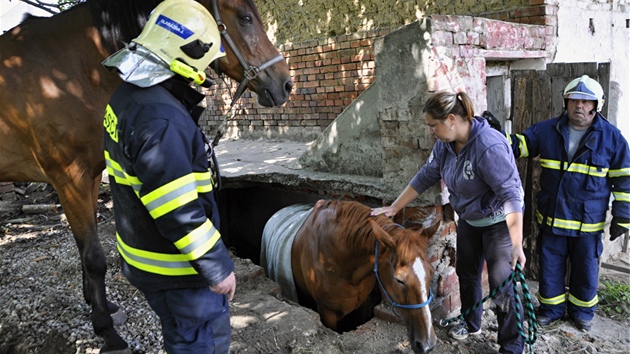 Dv jednotky hasi pomhaly v Tuapech na Olomoucku koni, kter se propadl do starho sklepa a nemohl ven. Nakonec se zsah obeel bez vyproovacho specilu, nebo hasii rozebrali st pilehl zdi a udlali tak zveti vce msta.