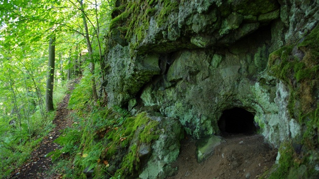 Trpaslií jeskyn (Skalky skítk) pedstavují dutiny po vyhnilých kmenech...