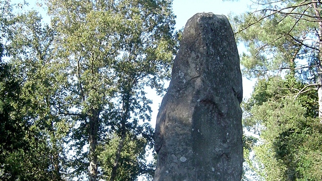 Obr. Nejvyí stojící menhir v Carnaku má 6,5 metru.