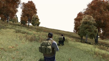 DayZ