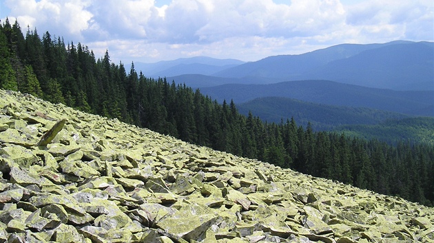 Kamenné pole pod Korytvinou