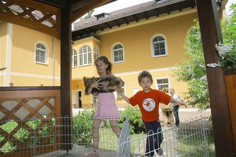 Zákon poaduje, aby v zaízeních pro dti v nouzi, co jsou i Klokánky, bylo maximáln 28 dtí.