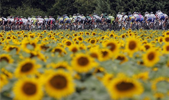 SLUNENICE. Cyklisté bhem tinácté etapy Tour de France