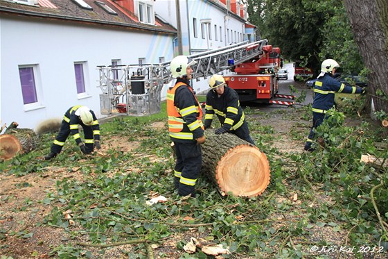 Hasii postupn od vrchních ástí stromu odezávali vtve a potom kmen. Po