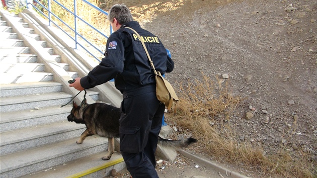 Policie zatkala v praskm Karln. Pi zsahu se stlelo. 