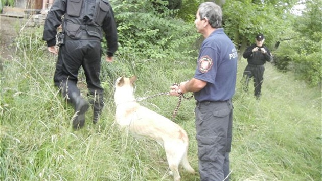 Policejn kontrola v zahrdksk kolonii Konvalinkov vrch v st nad Labem (10. ervence 2012)