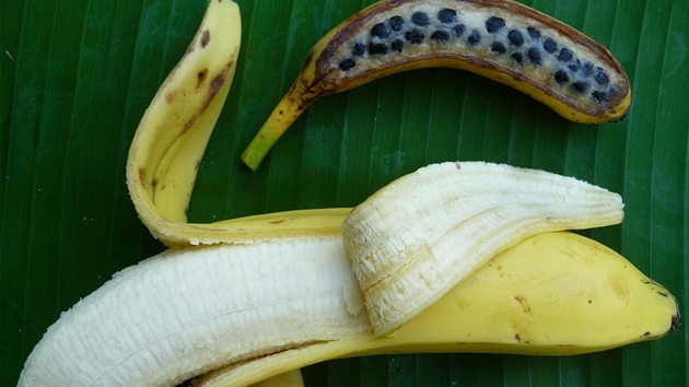 Kadý, kdo vyrazil poprvé do trop, je pekvapený bohatostí odrd banánovníku....