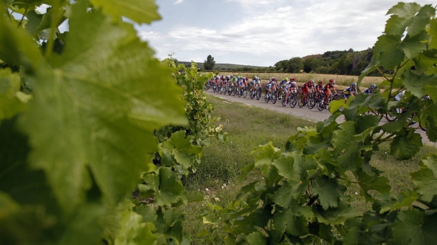 MEZI VINOHRADY. Cyklist bhem tinct etapy Tour de France. 