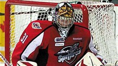 V AKCI. Jaroslav Pavelka ke konci sezony v Ontario Hockey League, která je pod V AKCI. Jaroslav Pavelka ke konci sezony v Ontario Hockey League, která je pod