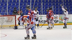 Momentka ze semifinále mistrovství svta inline hokejist esko - USA