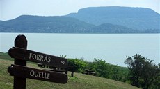 Vyhlídka na Balaton, v pozadí masiv Badacsony, kolem nj se pstuje víno.