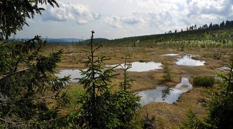 Raelinit Na ihadle v Jizerských horách. Podobné kousky pírody jsou velmi choulostivé na innost lovka a v esku jich rychle ubývá.