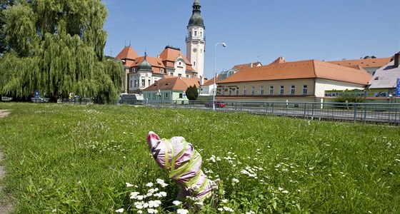 Pahýl, který zstal po nabourané lamp.