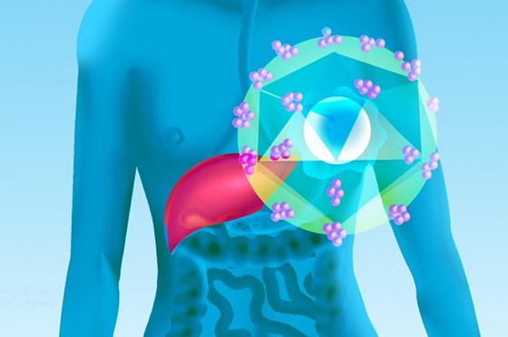 Proti hepatitid typu A a B se mete nechat okovat (ilustraní snímek)