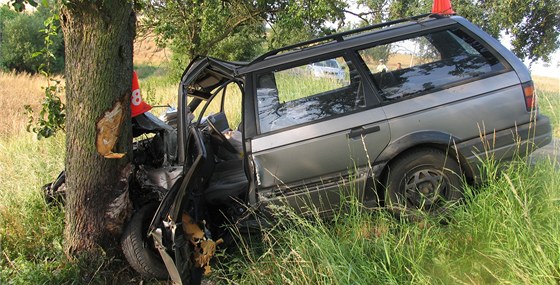 idika na silnici nedaleko Opavy narazila se svým autem do stromu. Nehodu nepeila. (Ilustraní snímek)