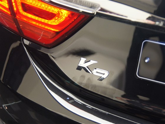 Podíl na evropském trhu zvyuje pedevím jihokorejský Hyundai Motor, který má výrobní základnu i v eské republice. Prodej se ale daí zvyovat i jeho dceiné spolenosti Kia Motors.