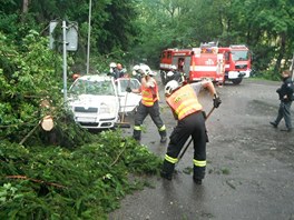 Bouka v Libereckm kraji povalila strom na auta.