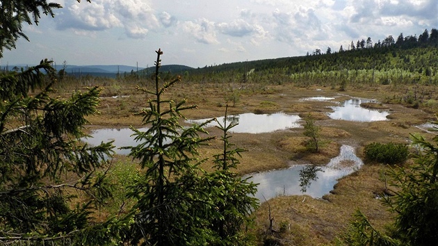 Jizerské hory. Rašeliniště Na Čihadle