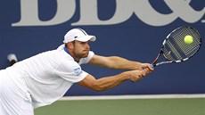 Andy Roddick Andy Roddick