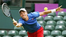 Tenista Tomá Berdych pi utkání s Belgianem Stevem Darcisem. (28. ervence