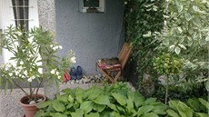 Klidný koutek u domu miluje i kočka. Klidný koutek u domu miluje i kočka.