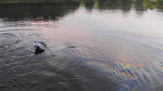 Potopené auto v rybníce Rotejn na okraji Tele.