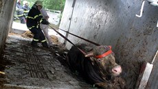 U Horního Žďáru na Jindřichohradecku blokoval silnici převrácený kamion, který U Horního Žďáru na Jindřichohradecku blokoval silnici převrácený kamion, který