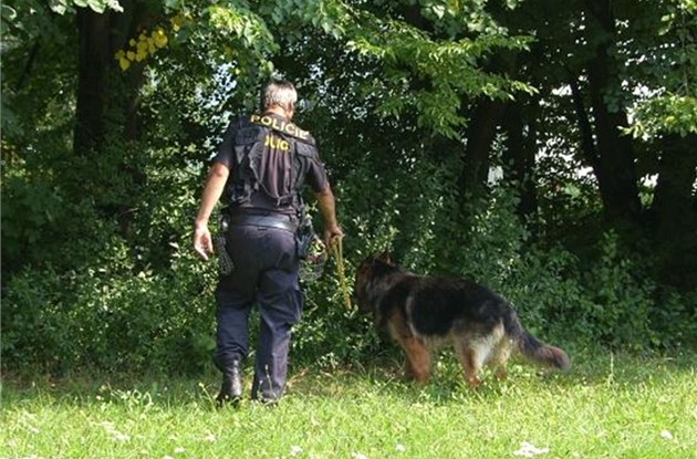 Ze tí podezelých policisté nakonec obvinili estatyicetiletý cizince, který