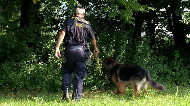 Msto vrady bezdomovce ve Zln prohledal i policejn pes.