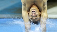 NEPÍJEMNÉ PEKVAPENÍ. Kdy Tom Daley koukal po olympijském závod do mobilního telefonu, jet se smál. Ale pozdji...