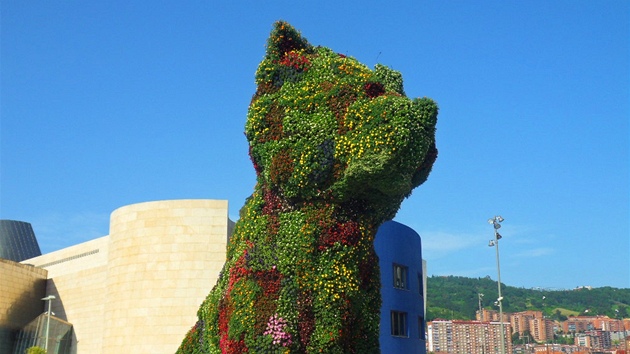 Tinctimetrov kvtinov pes Puppy od Jeffa Koonse ped Guggenheimovm muzeem v Bilbau.
