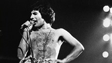 Narodil se jako Farrokh Bulsara, svt ho znal ale pod jménem Freddie Mercury.