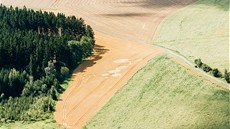 Kruhy v obilí u Bílého Kamene na Jihlavsku, jak je vidl pilot z letadla.