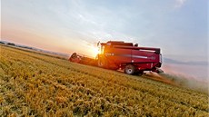 Soukromý zemědělec Václav Koutný z Těšetic hospodaří na 150 hektarech. Spolu s... Soukromý zemědělec Václav Koutný z Těšetic hospodaří na 150 hektarech. Spolu s...