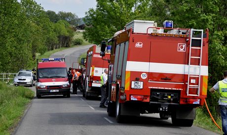 Hasii vyjídli k nahláenému poáru lesa i trávy, hoela ale auto s muem uvnit )ilustraní snímek).