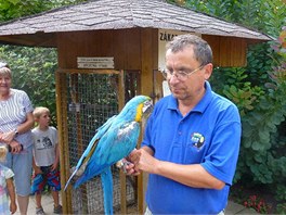editel chlebsk zoo Ren Frank s papoukem ara, kter je zvykl na pm...