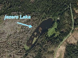 Les v okol jezera Laka v roce 2009.