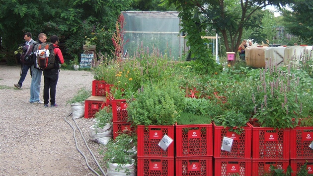 Prinzessinnen garten v Berln.