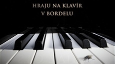 Obal alba Hraju na klavír v bordelu skupiny Sto zvířat Obal alba Hraju na klavír v bordelu skupiny Sto zvířat