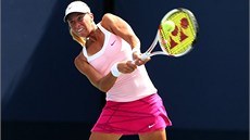 SNAHA. Andrea Hlaváčková v utkání na US Open v New Yorku SNAHA. Andrea Hlaváčková v utkání na US Open v New Yorku