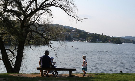 Na dotyk slizké a pro plavce nepíjemné asy se objevily v Brnnské pehrad. Jsou vak známkou kvalitní vody. ilustraní snímek