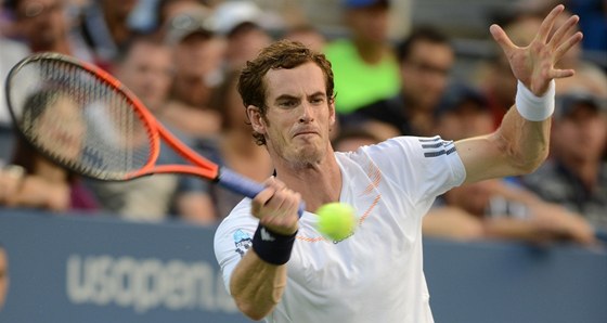 SOUPE. Andy Murray se v semifinále US Open utká s Tomáem Berdychem.