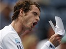 ROZLADN ANDY. Brit Andy Murray se zlob v semifinle US Open proti Tomi