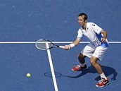 VOLEJ. Radek tpnek zasahuje u st ve finle tyhry na US Open, vedle je