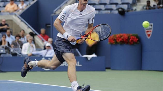 KAM LET͊? Andy Murray sleduje mek v semifinle US Open proti Tomi Berdychovi.
