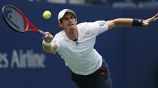 DOSÁHNE? Brit Andy Murray se natahuje po míku v semifinálovém utkání proti...