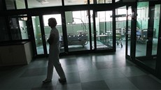 Infekční oddělení dostalo v novém pavilonu zelený odstín. Infekční oddělení dostalo v novém pavilonu zelený odstín.