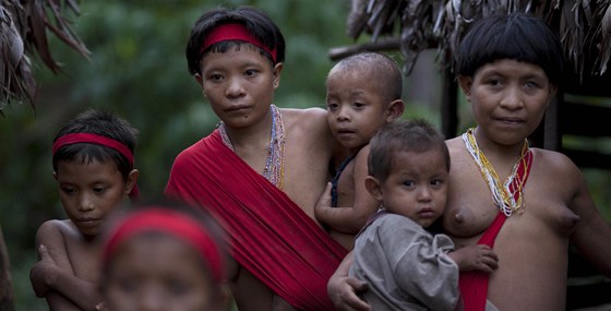 ím dál více amazonských indián pouívá internet a chodí na vysoké koly. Ilustraní foto